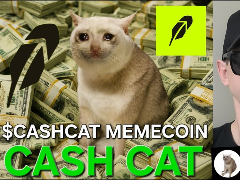 2026年Robinhood Chain掘金指南:从跨链到扫链的Memecoin全流程教学