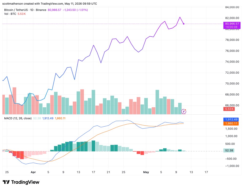 Bitcoin Price Holds Above Key Support