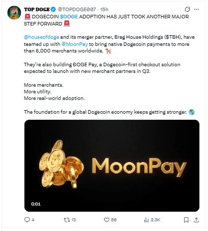 为什么狗狗币现在又重新成为热门话题