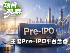 主流Pre-IPO平台最全测评：哪些是真股权，哪些是镜像票据？