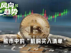 加密熊市，机构巨头在补仓哪些加密概念股？