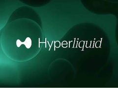 Hyperliquid也要支持币股分红了！