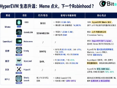 HyperEVM生态升温：Meme 点火，下一个Robinhood？
