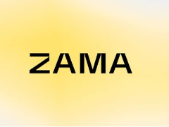 以太坊生态的隐私层，ZAMA距离真正的价值捕获还有多远？